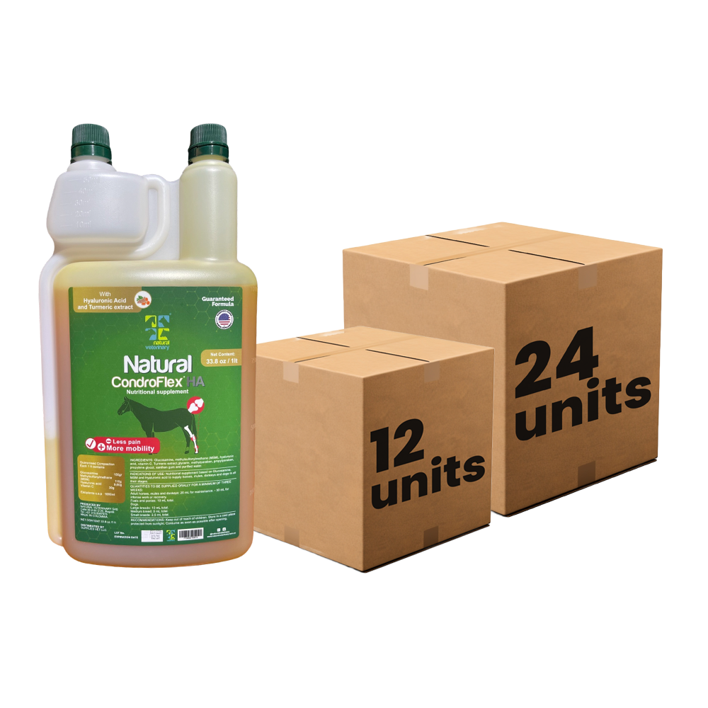 pack-condroflex-ha[1]